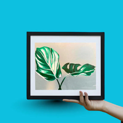 Monstera