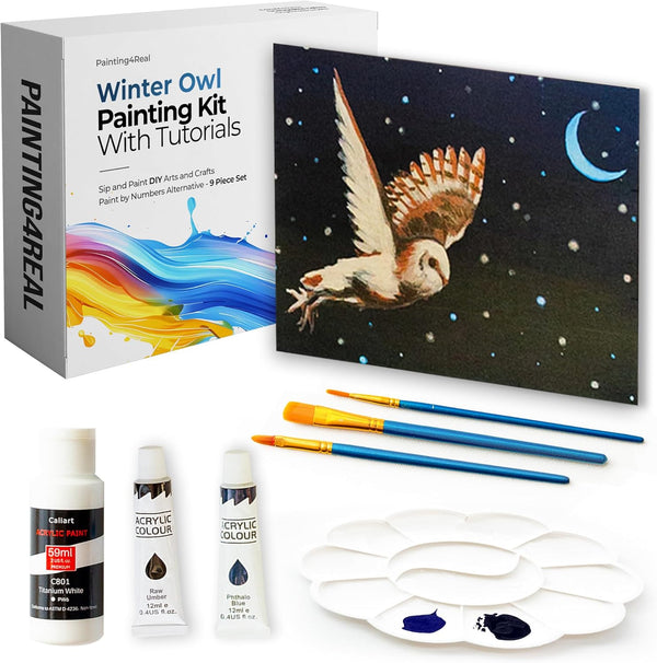 Enchanted Winter Owl Painting Kit