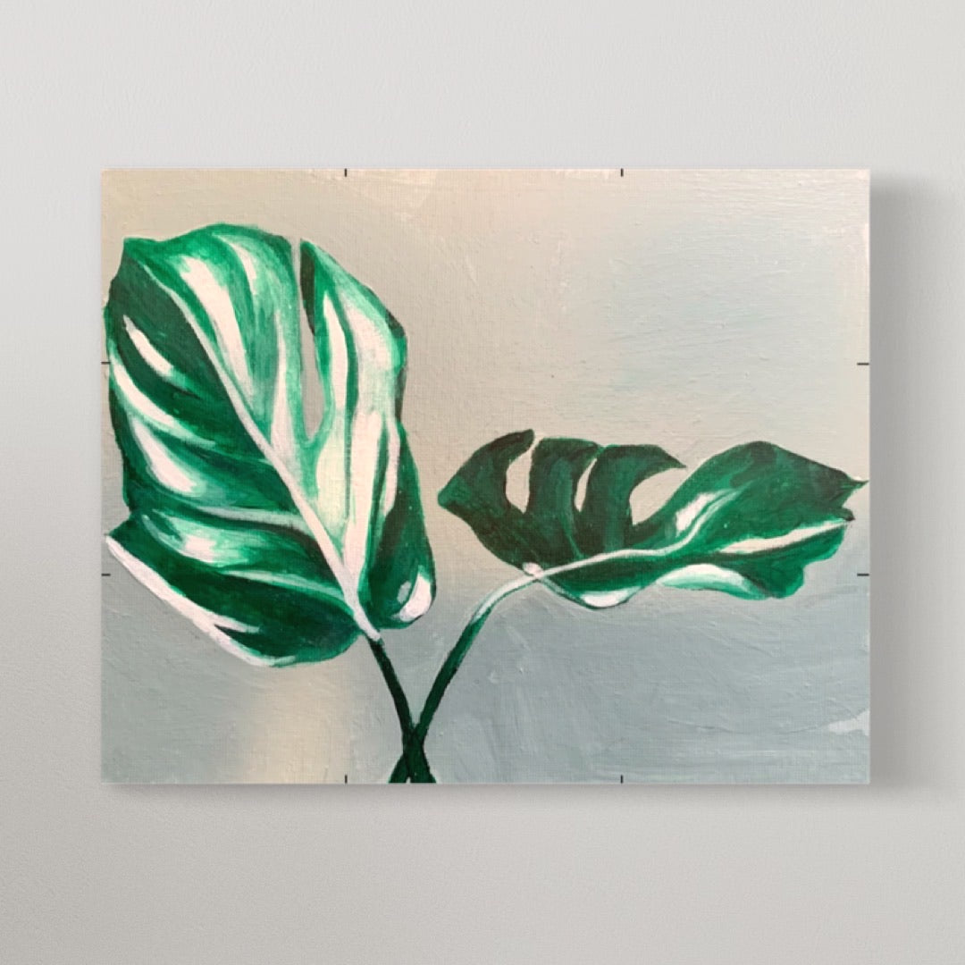 monstera plant painting Monstera Plant Painting Kit