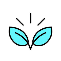 Beginner-Friendly