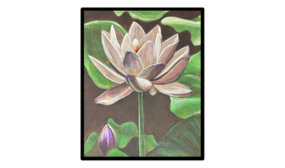 White Lotus