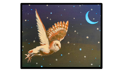 Winter Owl